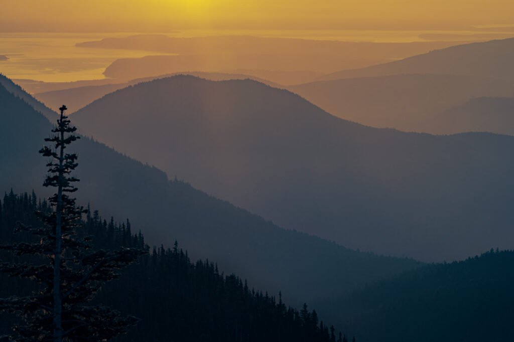 Layered mountain ridges at Hurricane Ridge in Olympic National Park just after sunrise, with moderate
mist separating the distant peaks