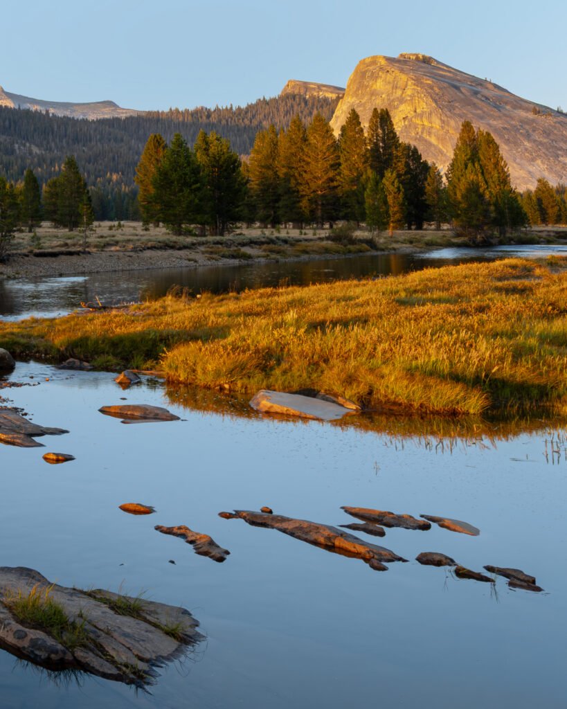 Golden meadow and shallow water in Yosemite National Park, illuminated by warm evening light with granite landscape beyond.