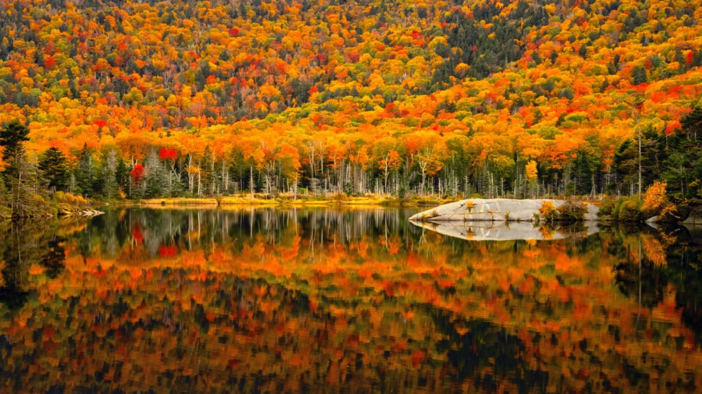 Brilliant autumn foliage reflected in the calm waters of a pond along Vermont Route 100,
with a pale rock outcrop along the shoreline
