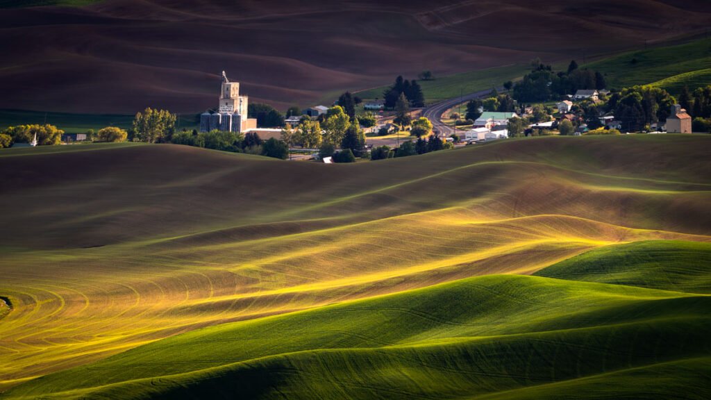 Grain elevator among the rolling hills of Whitman County, Washington, with recently plowed fields and
fresh green shoots emerging across the landscape.