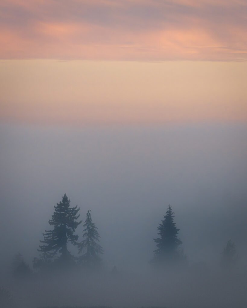 Dense fog over Lower Elwha, Washington, before sunrise, with clouds above reflecting the first light of
dawn